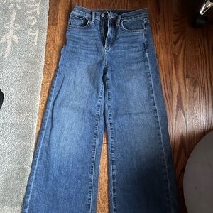 Joe's Jeans Blue Flare Wide-Leg Denim